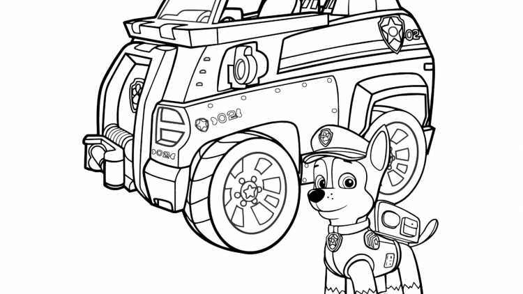 Раскраска Щенячий патруль Райдер с гонщиком