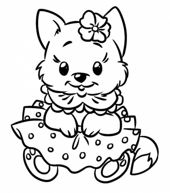 Раскраска кошечки собаки