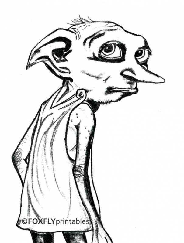 Поттер и Добби