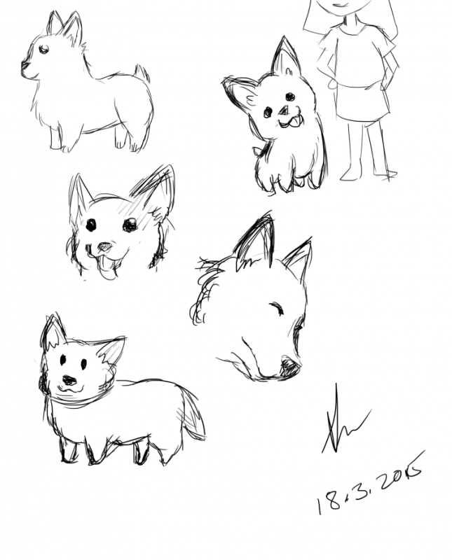 Щенок корги для срисовки