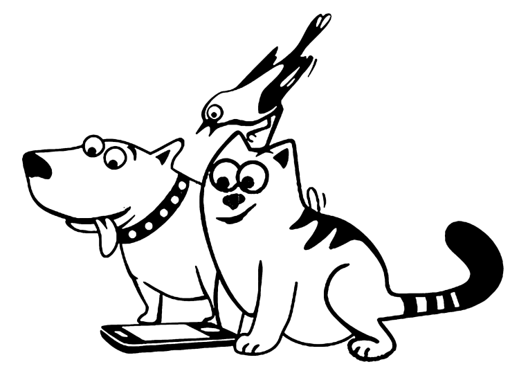 Раскраска кошка обнимает собаку