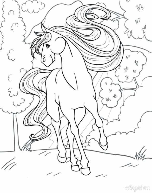 Сивка-бурка. Раскраски