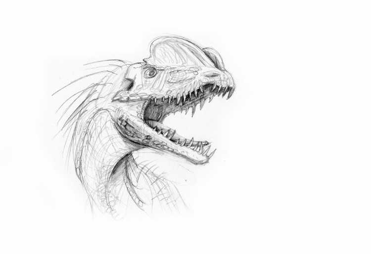 Раскраска динозавр Дилофозавр