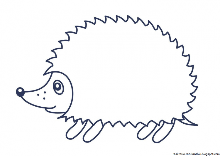 Еж раскраска для малышей