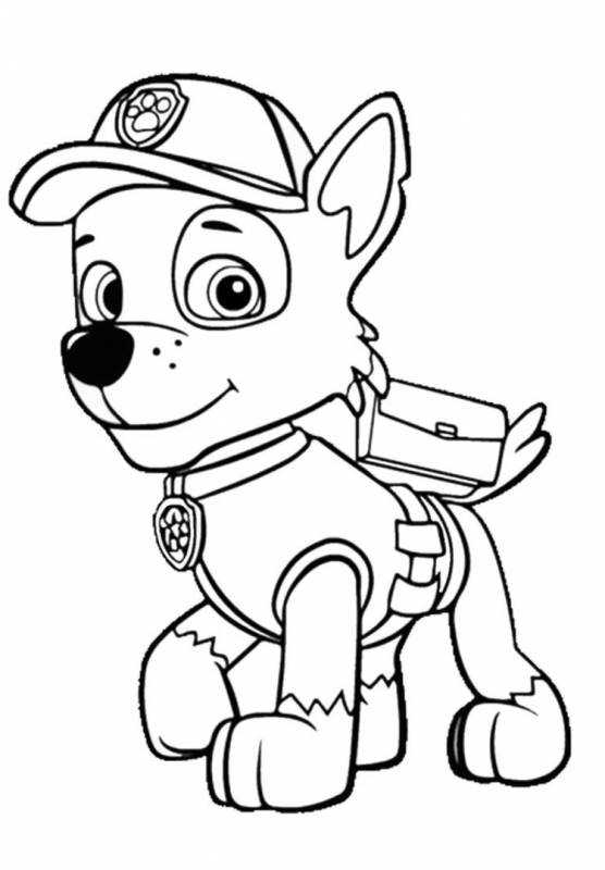 Раскраска Щенячий патруль Скай Эверест гонщик