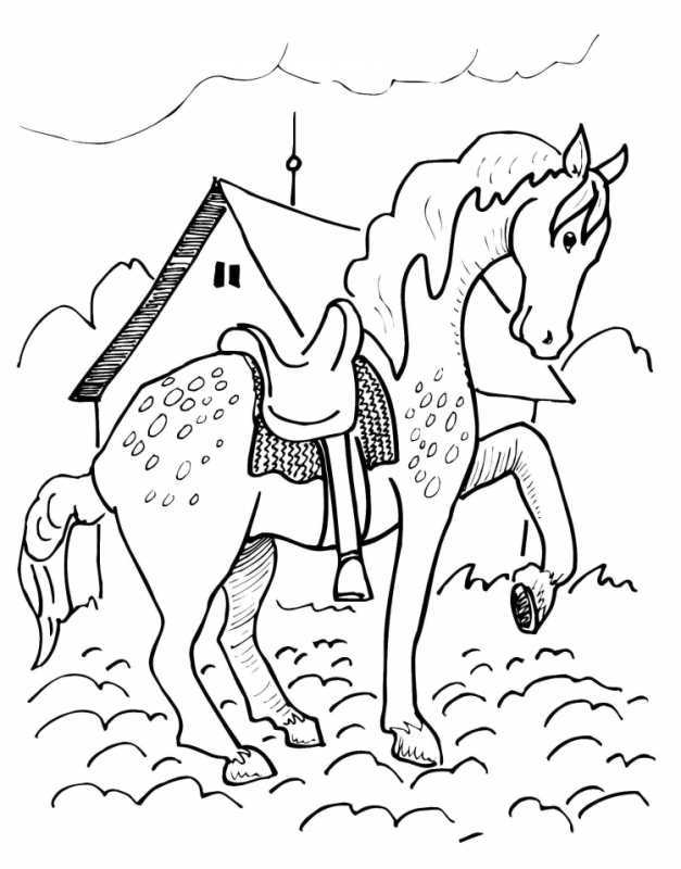 Раскраска-сказка "Сивка-бурка"