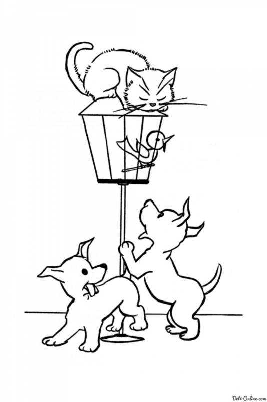 Кошки и собаки. Раскраска