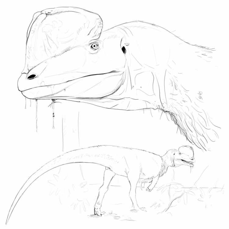 Дилофозавр динозавр рисунок для детей