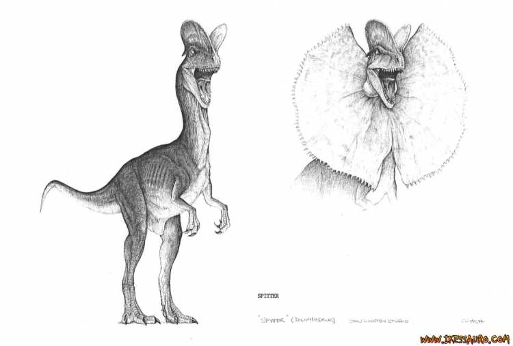 Дилофозавр скелет
