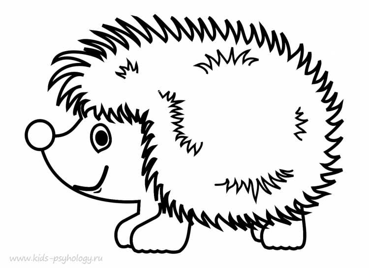 Ёжик раскраска для детей