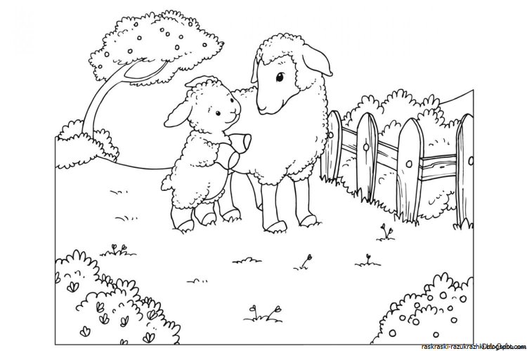 Овечка раскраска