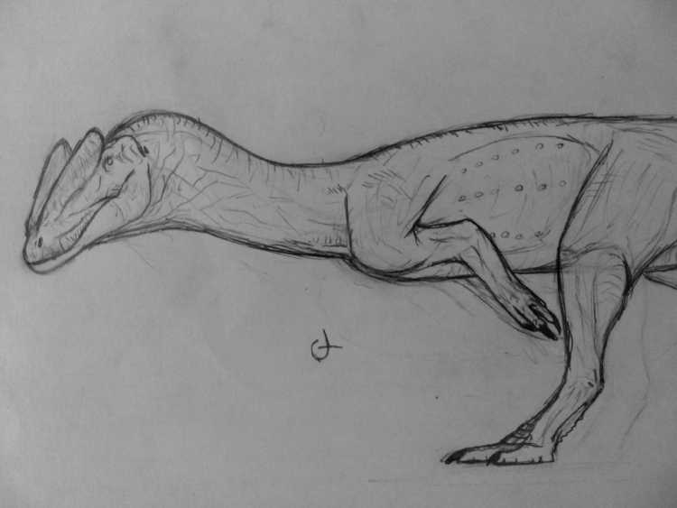 Тираннозавр против Дилофозавр