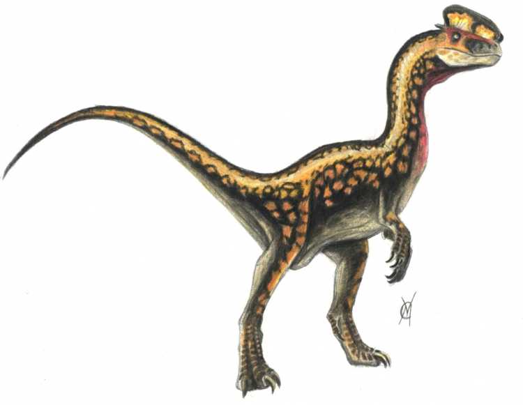 Овираптор динозавр раскраска