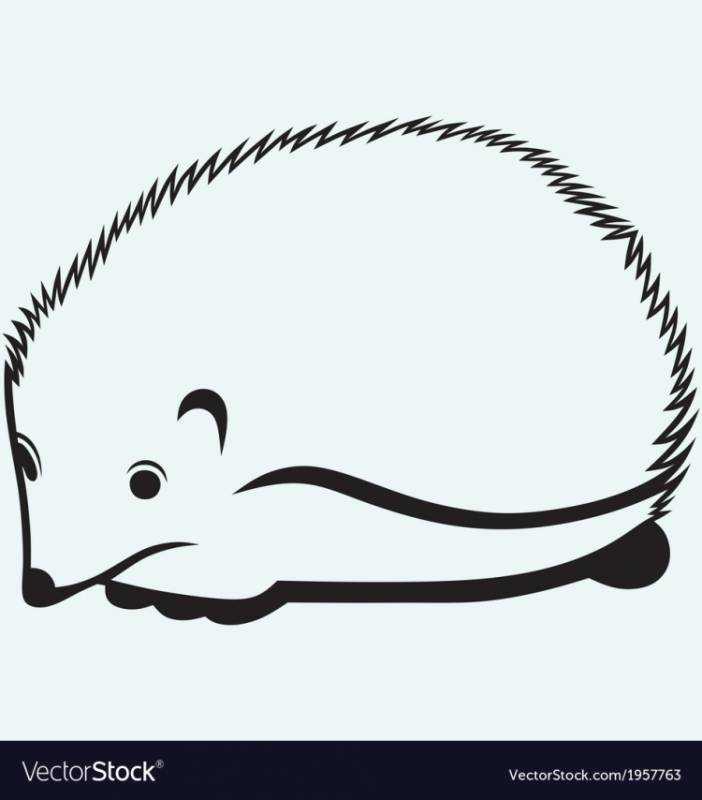 Ёжик раскраска для детей