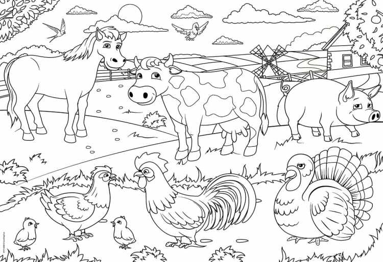 Ферма раскраска для малышей