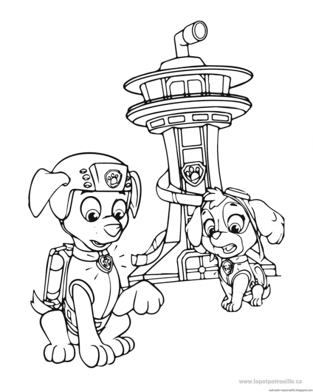 Зума Щенячий патруль раскраска