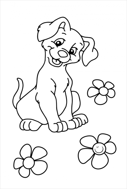 Контур собаки и кошки