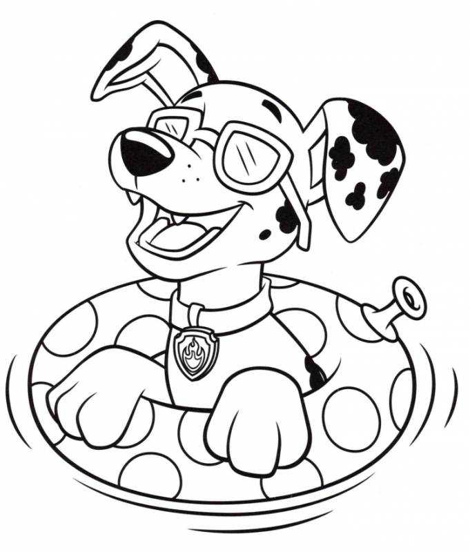 Раскраска Щенячий патруль Райдер