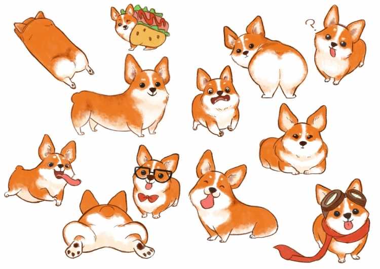 Щенок Цербера корги