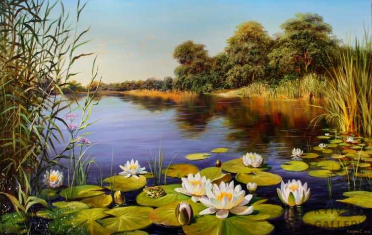 Холодовский Михаил Иванович река с кувшинками