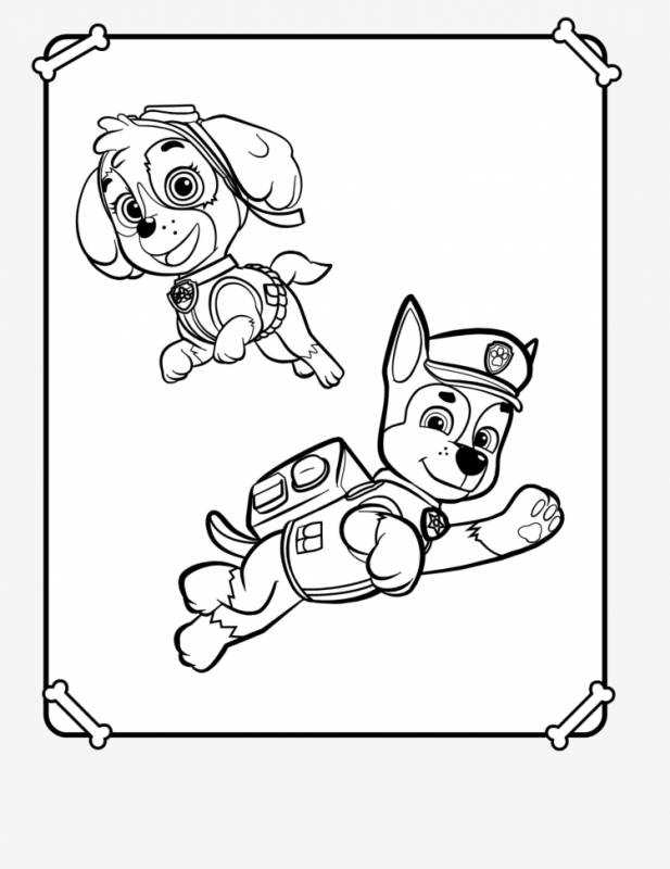Щенячий патруль раскраска для детей Зума