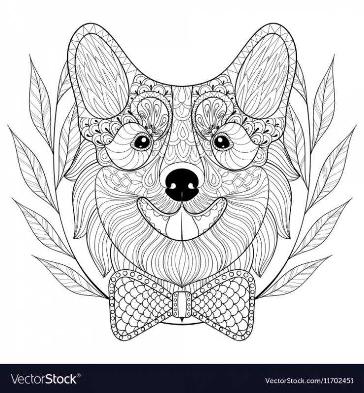 Корги контурный рисунок