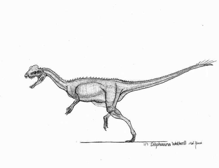 Велоцираптор против дилофозавра