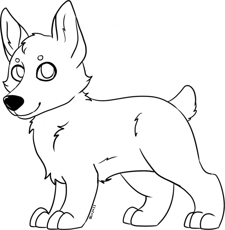 Раскраска собачка корги