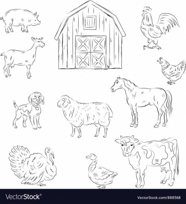 Раскраска домашние животные