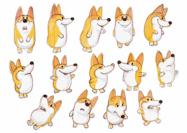 Раскраска корги кардиган