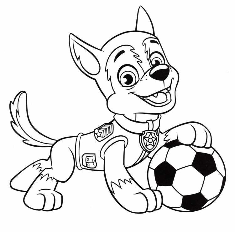 Морская Скай Щенячий патруль раскраска