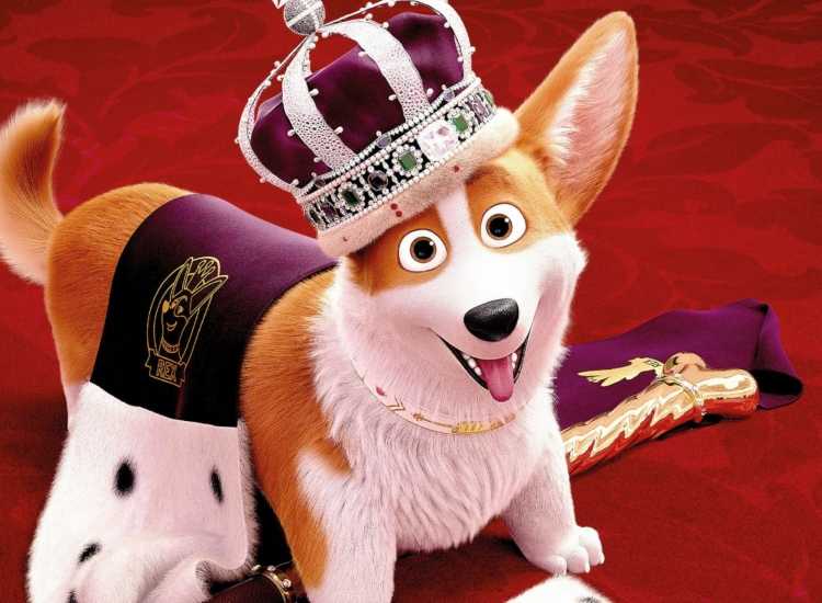 Блокноты с собачками корги