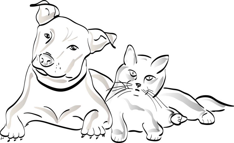 Кошка и собака рисунок