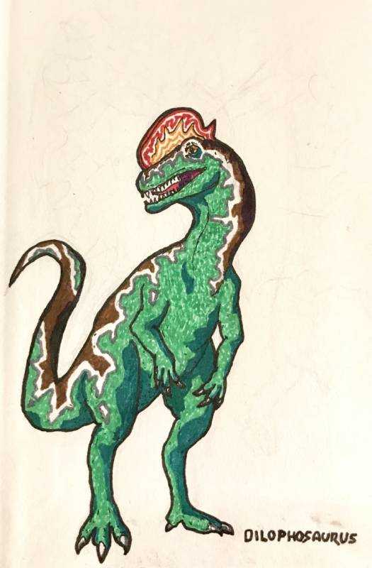 Дейноних динозавр раскраска
