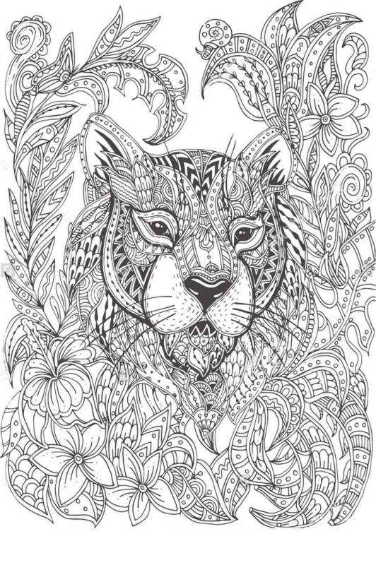 Раскраски сложные узоры