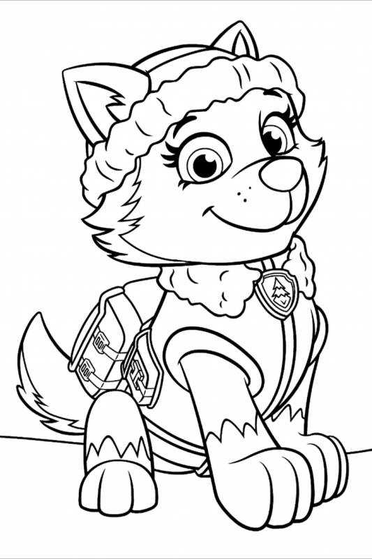 Щенячий патруль Эверест