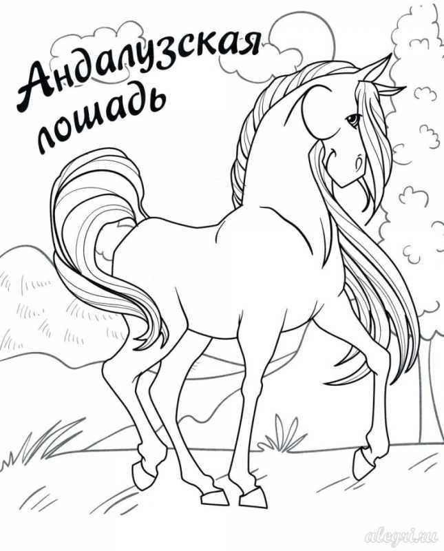 Раскраска. Конек-горбунок