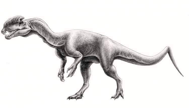 Дилофозавр 2021