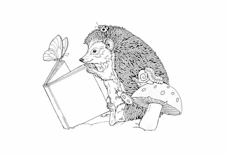 Ежик в векторной графики