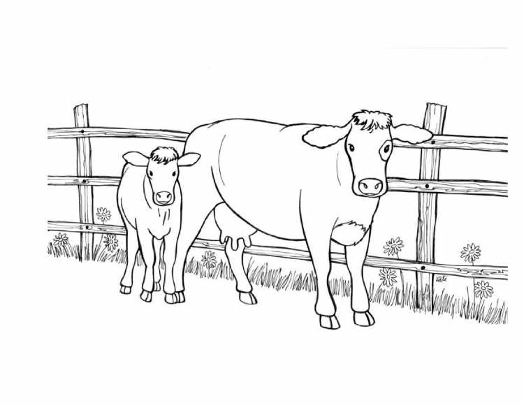 On the Farm раскраска