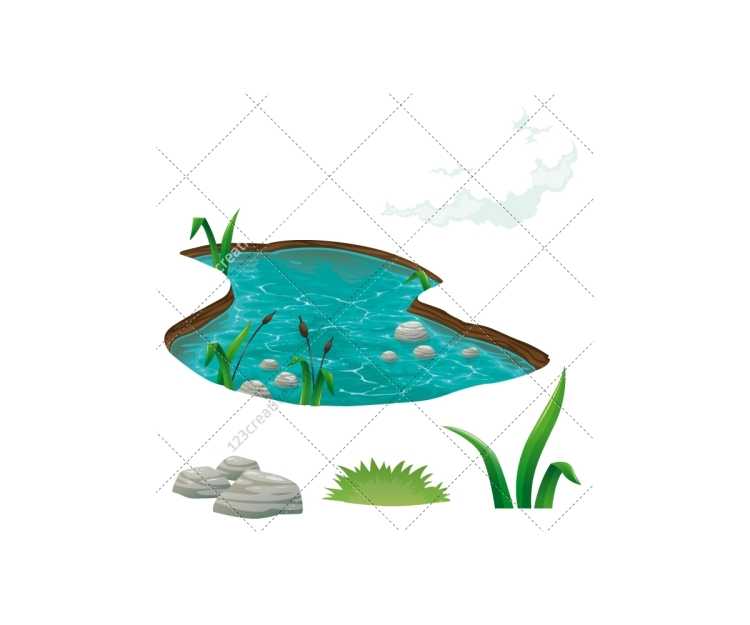 Прудик в иллюстраторе