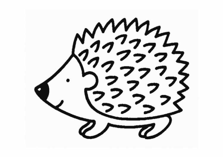 Ёжик рисунок карандашом для детей