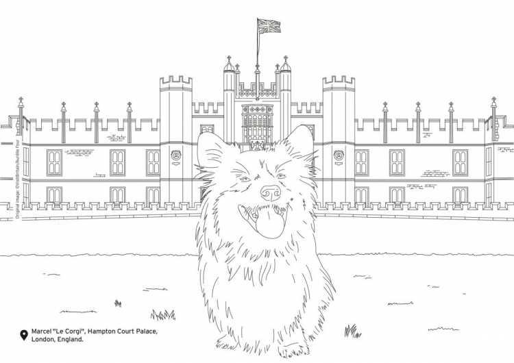 Ткань с рисунком корги