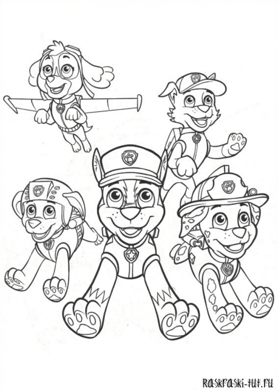 Paw Patrol раскраска