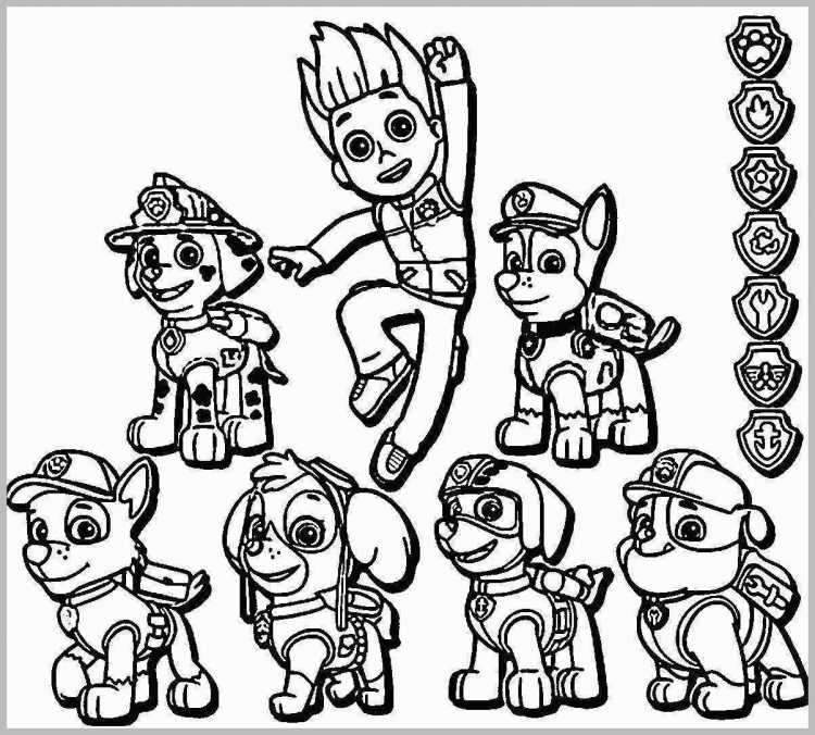 Щенячий патруль расска