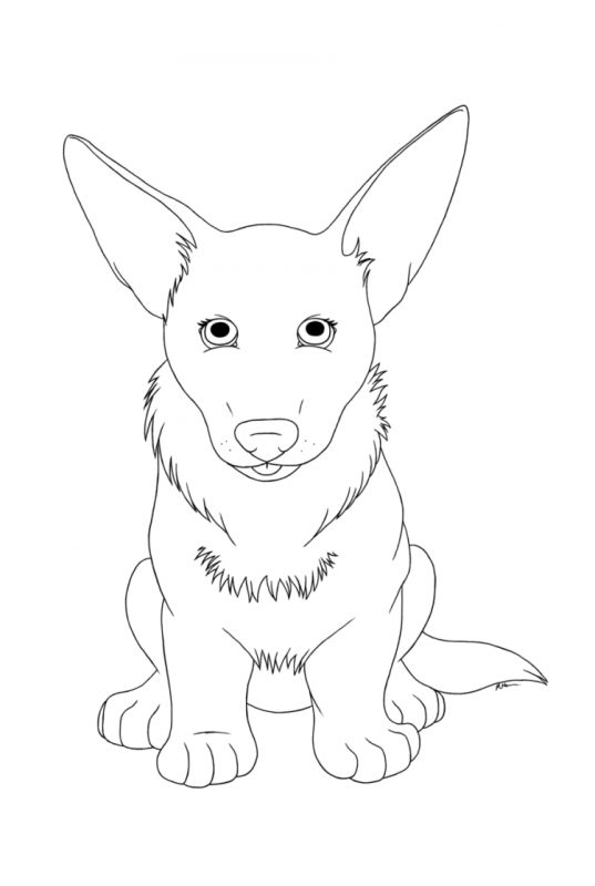 Королевский корги раскраска