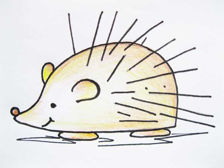 Штриховка Ежик для детей