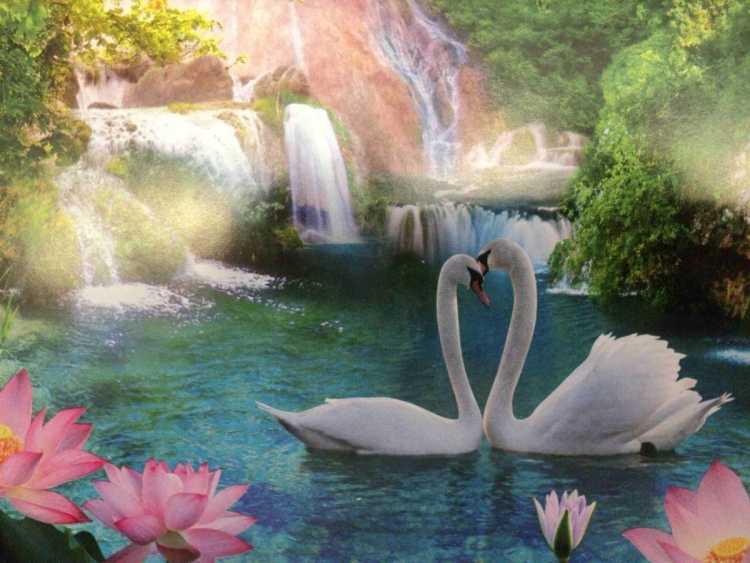 Сказочное озеро с лебедями