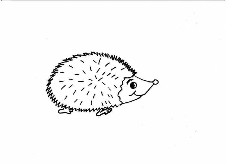 Ежик шаблон
