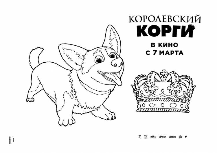 Фрилайн корги